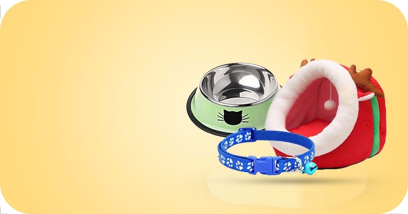 Dog & Cat Accessories